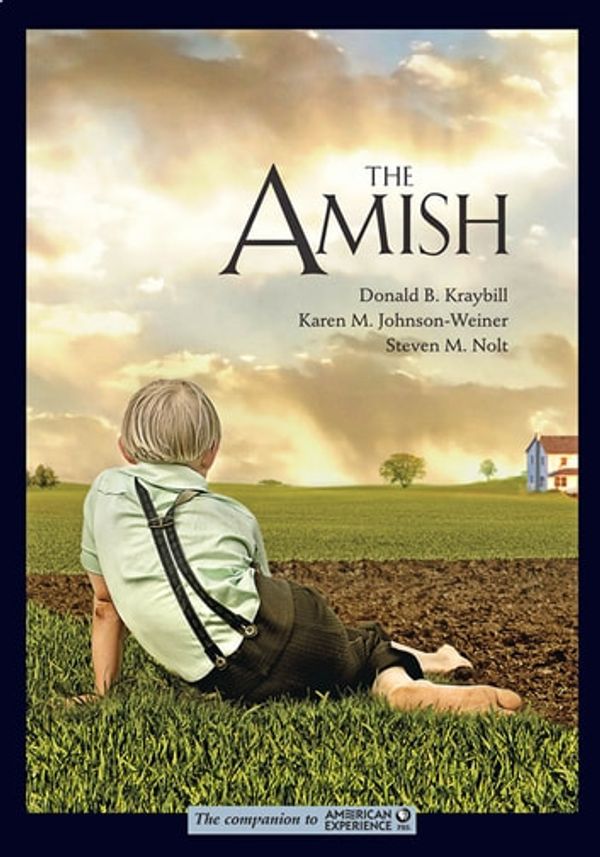 Cover Art for 9781421409153, The Amish by Donald B. Kraybill