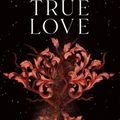 Cover Art for 9781250851208, A Curse for True Love by Stephanie Garber