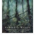 Cover Art for 9780713990942, The Diversity of Life by Edward O Wilson