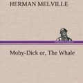 Cover Art for 9783849563783, Moby-Dick Or, the Whale by Herman Melville