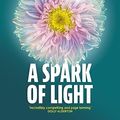 Cover Art for B079LSX2Q9, A Spark of Light by Jodi Picoult