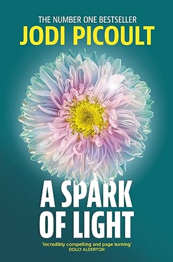 Cover Art for B079LSX2Q9, A Spark of Light by Jodi Picoult