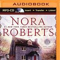 Cover Art for 9781491510926, Dark Witch by Nora Roberts