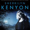 Cover Art for 9780749956363, The Dream-Hunter by Sherrilyn Kenyon