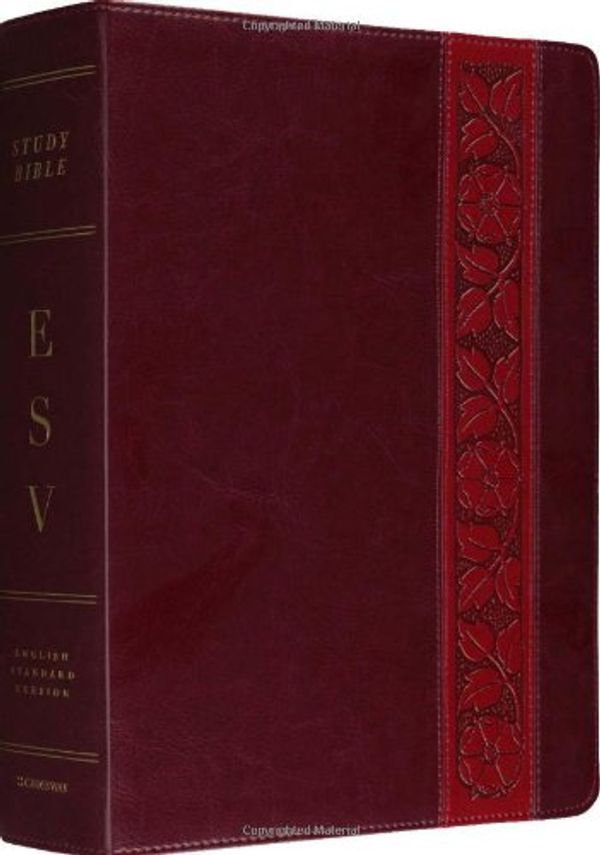 Cover Art for 9781433503801, ESV Study Bible by Crossway Books