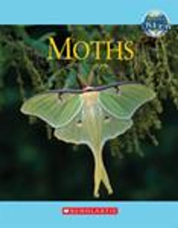 Cover Art for 9780717262717, Moths by Jen Green (2008, Hardcover) by Jen Green