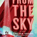 Cover Art for 9781492673033, It Came from the Sky by Chelsea Sedoti