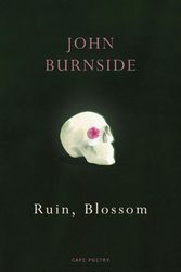 Cover Art for 9781529909258, Ruin, Blossom: ‘A master of language’ Hilary Mantel by John Burnside