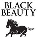 Cover Art for 9781520071411, Black Beauty by Anna Sewell