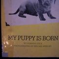 Cover Art for 9780590620239, My Puppy Is Born by Joanna Cole