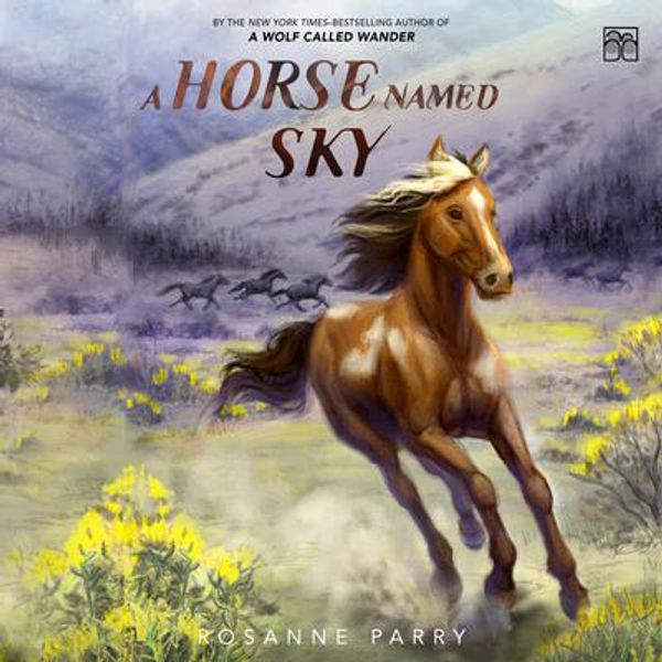 Cover Art for 9780063336001, A Horse Named Sky by Rosanne Parry