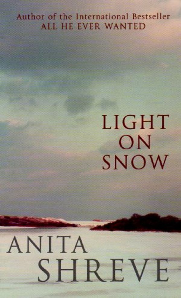 Cover Art for 9781843953760, Light on Snow by Anita Shreve