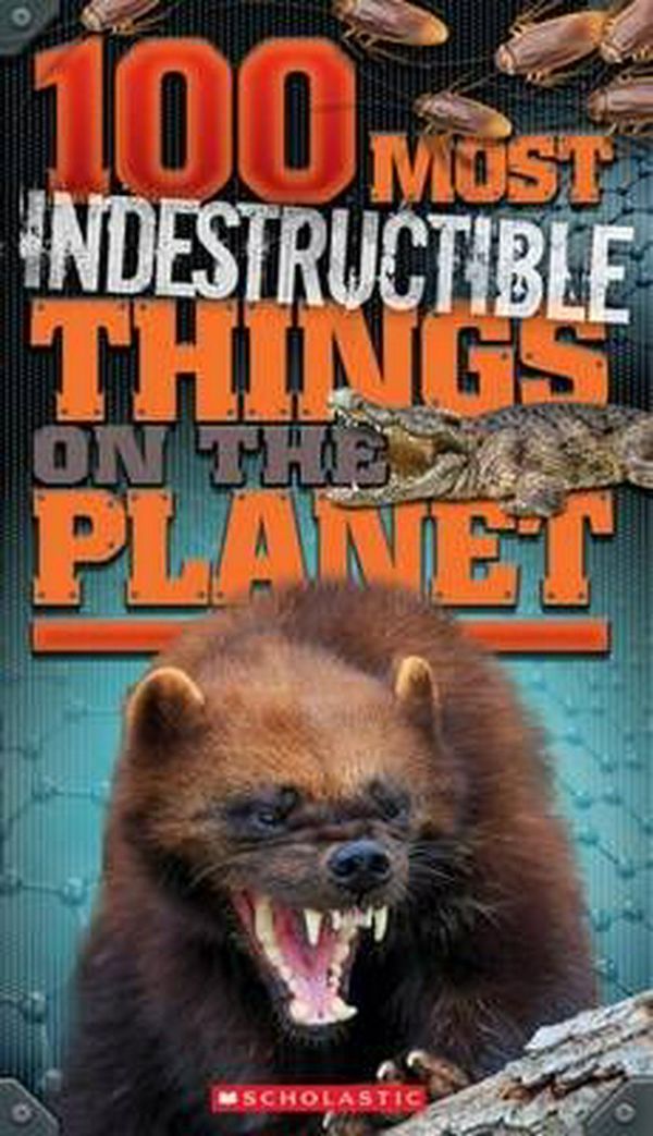 Cover Art for 9781760273705, 100 Most Indestructible Things on the Planet by Anna Claybourne