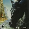 Cover Art for 9780340327517, The Black Stallion by Walter Farley