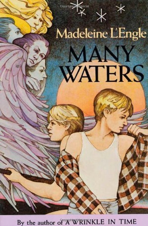 Cover Art for 9780374347963, Many Waters by Madeleine L'Engle