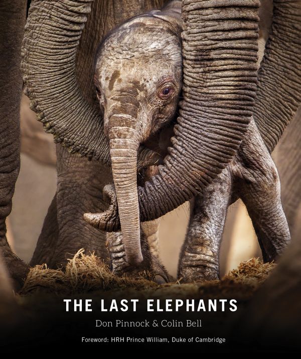 Cover Art for 9781588346636, The Last Elephants by Don Pinnock