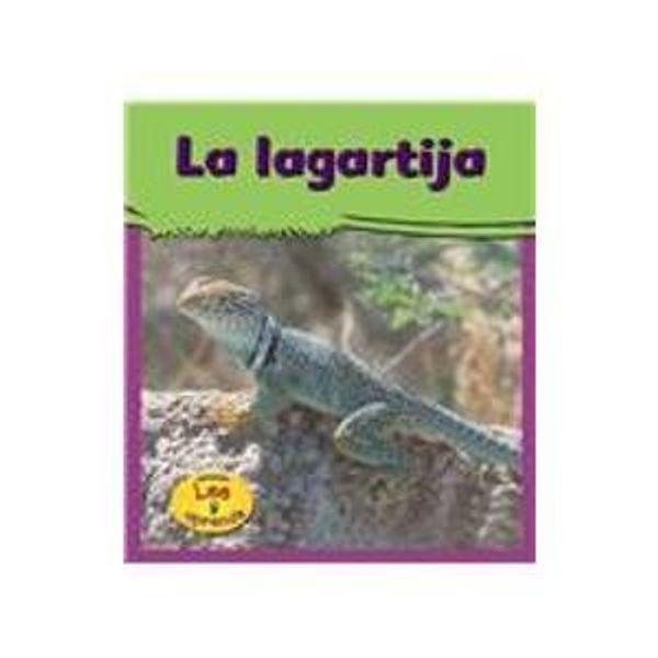 Cover Art for 9781403457486, Las Lagartijas / Lizards (Heinemann Lee y Aprende) (Spanish Edition) by Lola M. Schaefer, Lola M. Schaefer