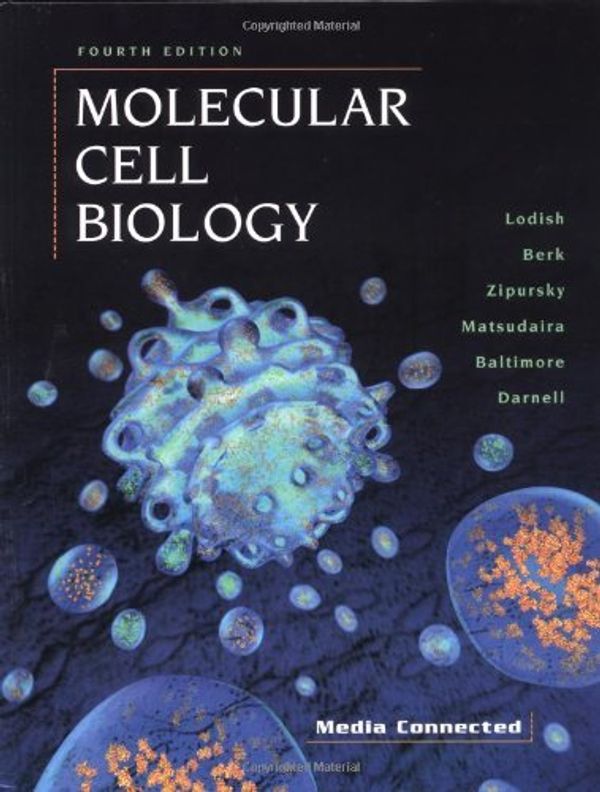 Cover Art for 9780716737063, Molecular Cell Biology by James E. Darnell, Harvey Lodish, Arnold Berk, Lawrence Zipursky, Paul Matsudaira, David Baltimore