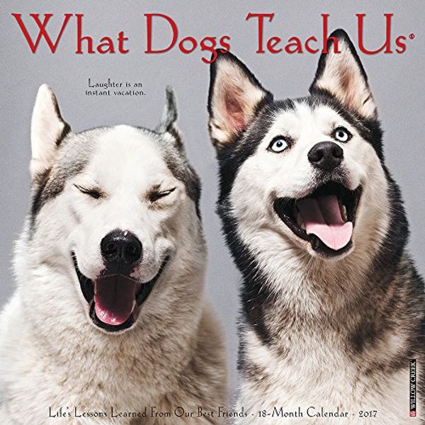 Cover Art for 9781682342244, What Dogs Teach Us by Willow Creek Press