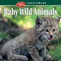 Cover Art for 9781894974660, Baby Wild Animals by Dennis Schmidt
