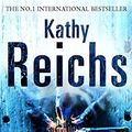 Cover Art for 9780099492368, Bones to Ashes by Kathy Reichs