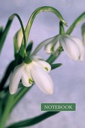Cover Art for 9780754820246, NotebookSnowdrop by Peony Press