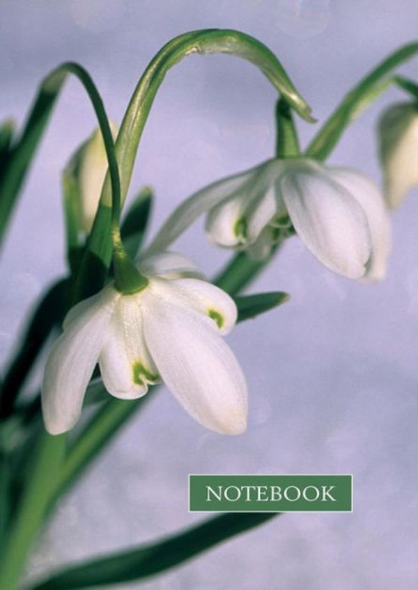 Cover Art for 9780754820246, NotebookSnowdrop by Peony Press