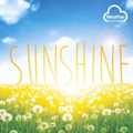 Cover Art for 9781910512722, Sunshine by Harriet Brundle