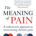 Cover Art for 9781780724171, The Meaning of Pain by Nick Potter