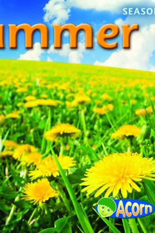 Cover Art for 9781432927295, Summer by Sian Smith
