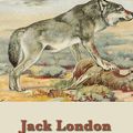 Cover Art for 9781627553131, White Fang by Jack London