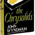 Cover Art for B08KXLG6GN, The Chrysalids by John Wyndham