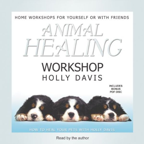 Cover Art for 9781470884055, Animal Healing Workshop by Holly Davis