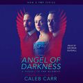 Cover Art for B00O03L6W4, The Angel of Darkness by Caleb Carr