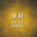 Cover Art for 9781623370770, Chinese / English Bible - Ccb Simplified / NIV PB by Zondervan