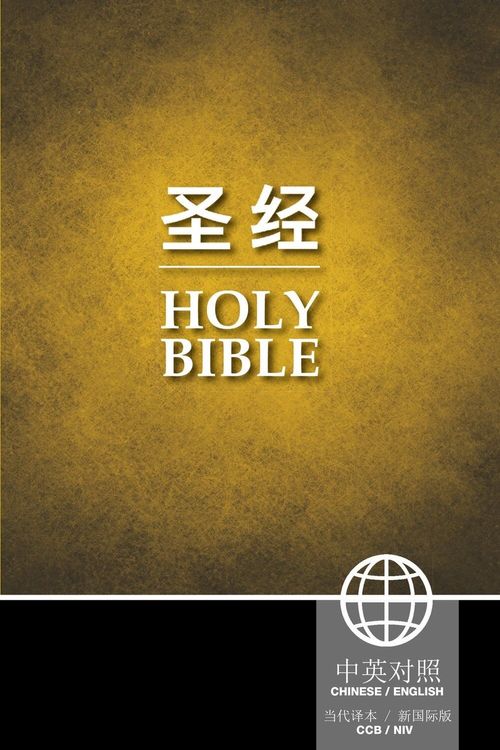 Cover Art for 9781623370770, Chinese / English Bible - Ccb Simplified / NIV PB by Zondervan