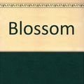 Cover Art for 9780330318549, Blossom by Andrew Vachss