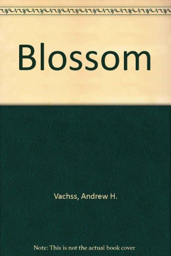 Cover Art for 9780330318549, Blossom by Vachss, Andrew