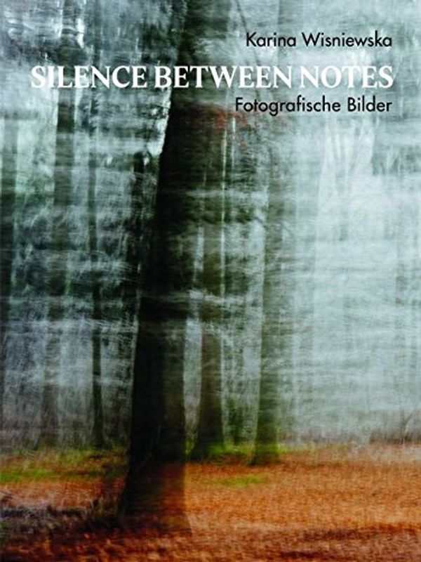 Cover Art for 9783038780083, Karina Wisniewska: Silence between notes by Karina Wisniewska