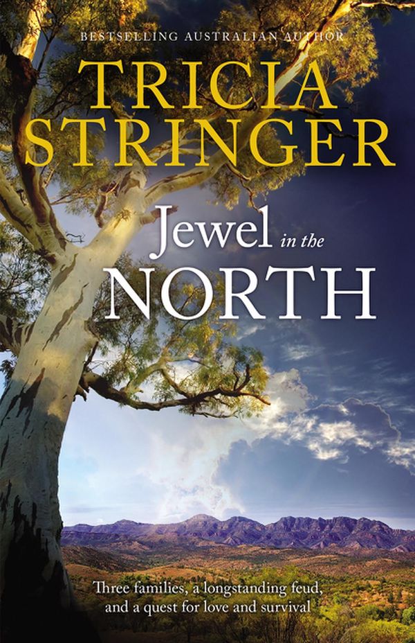 Cover Art for 9781489246936, Jewel In The North by Tricia Stringer