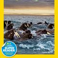 Cover Art for 9781426307416, National Geographic Readers Great Migrations Amazing Animal Journeys Lvl 3 by Laura Marsh