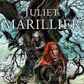 Cover Art for 9780230017894, Heir to Sevenwaters by Juliet Marillier