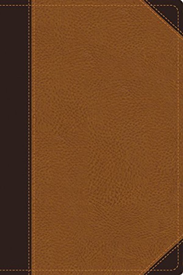 Cover Art for 0025986429607, NIV Zondervan Study Bible, Leathersoft, Tan/Brown: Built on the Truth of Scripture and Centered on the Gospel Message by Zondervan