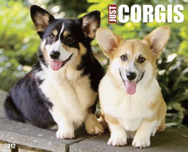 Cover Art for 9781607553168, Just Corgis 2012 Calendar (Just (Willow Creek)) by Willow Creek Press