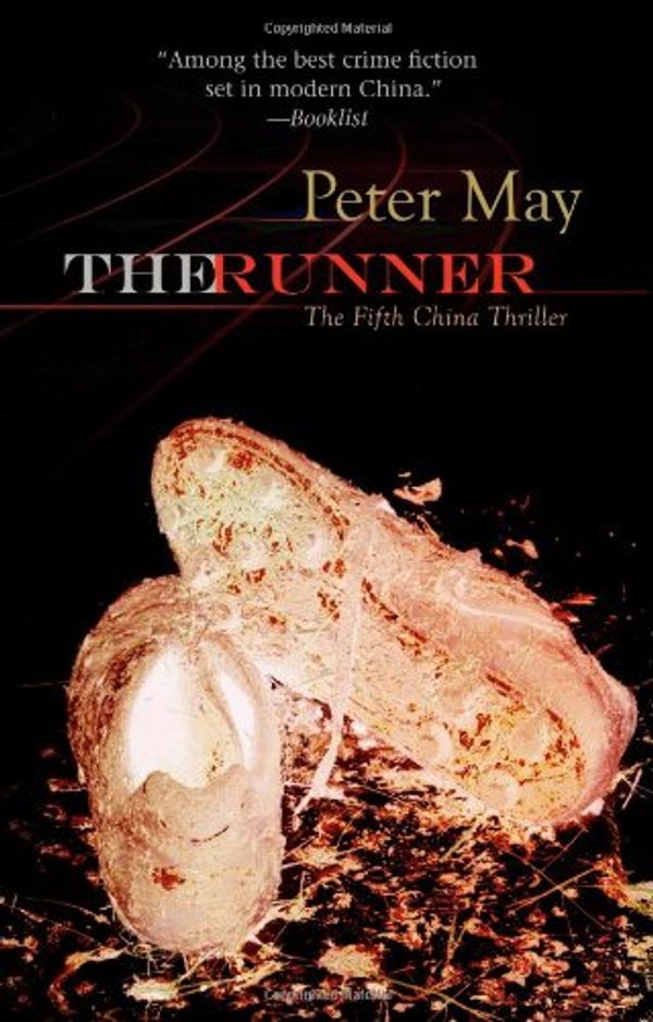 Cover Art for 9781590586044, The Runner by Peter May