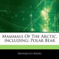 Cover Art for 9781243182043, Articles on Mammals of the Arctic, Including by Hephaestus Books