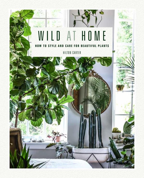 Cover Art for 9781782497134, Wild at Home: How to style and care for beautiful plants by Hilton Carter