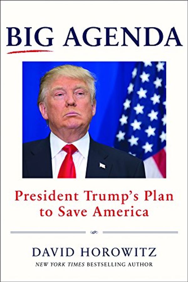 Cover Art for 9781630060879, The Big AgendaPresident Trump's Secret Plan to Save America by David Horowitz