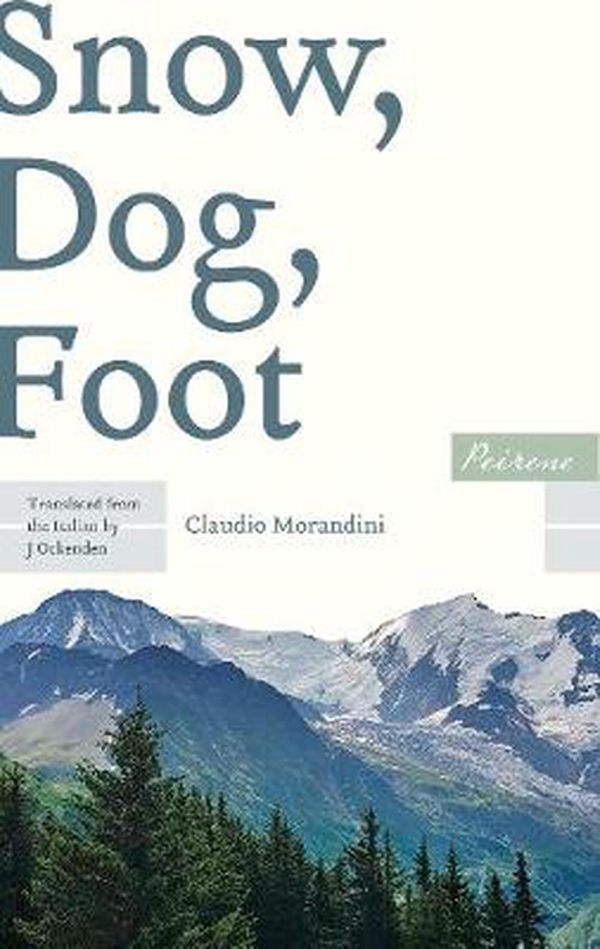 Cover Art for 9781908670564, Snow, Dog, Foot by Claudio Morandini