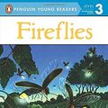 Cover Art for 9780448448343, Fireflies by Megan E. Bryant